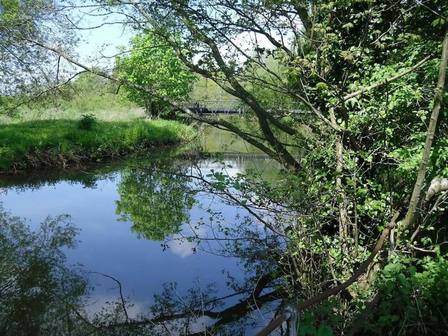 Polly'S Place Apartment Taunton & Free Off Road Parking & Wifi Extérieur photo