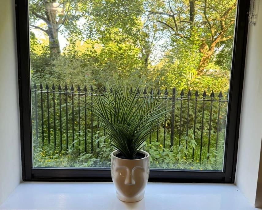 Polly'S Place Apartment Taunton & Free Off Road Parking & Wifi Extérieur photo